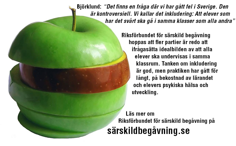 Inkludering är en god tanke, men praktiken har gått för långt